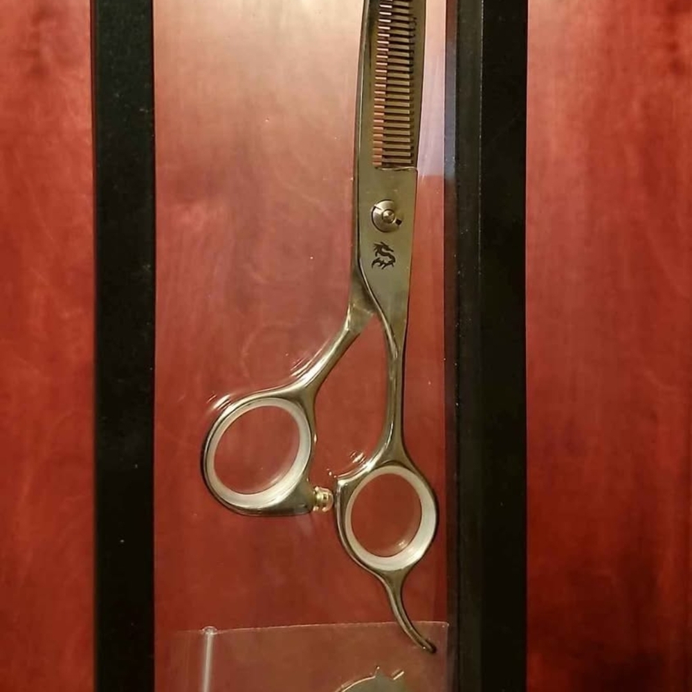 Professional Stainless Steel Thinning Shears - Silver